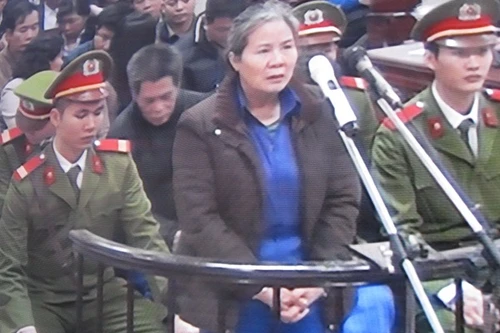 Cựu Phó giám đốc Agribank thẩm định hồ sơ vay vốn trên… báo cáo 