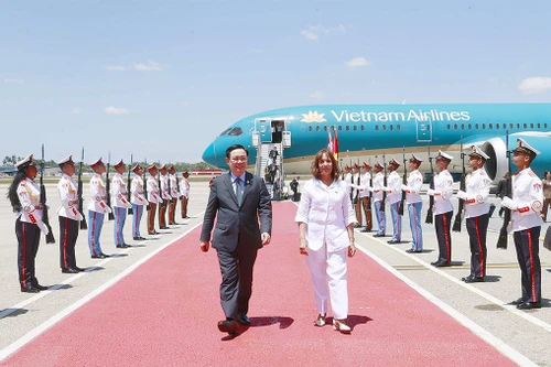 Củng cố quan hệ đoàn kết đặc biệt hiếm có giữa Việt Nam và Cuba 