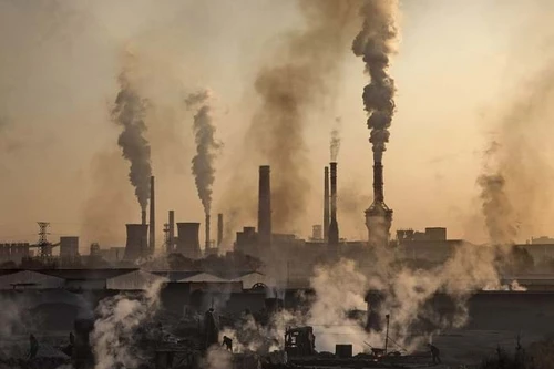 Hành động chống biến đổi khí hậu trước khi quá muộn 