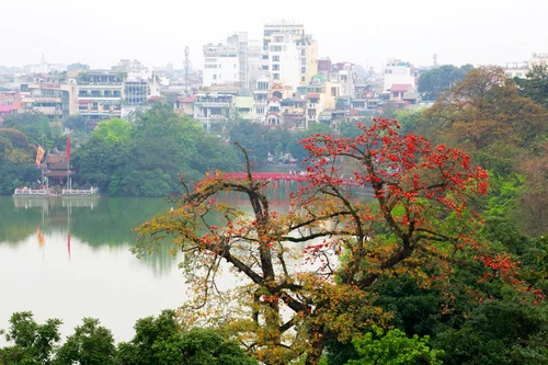 Tháng ba hoa gạo nở rồi 