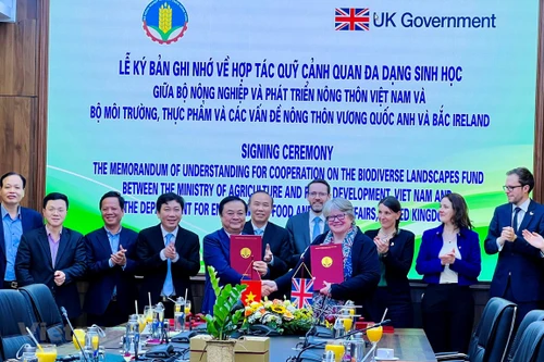 Việt Nam - Anh hợp tác bảo vệ tài nguyên thiên nhiên, giảm thiểu biến đổi khí hậu 