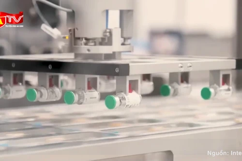 Vaccine phòng sốt xuất huyết của Nhật Bản sẽ được tiêm thử nghiệm ở Việt Nam 