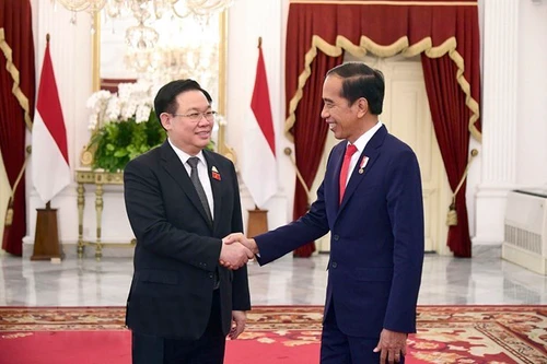 Việt Nam thúc đẩy quan hệ hữu nghị, hợp tác với các nước ở châu Á và Trung Đông 