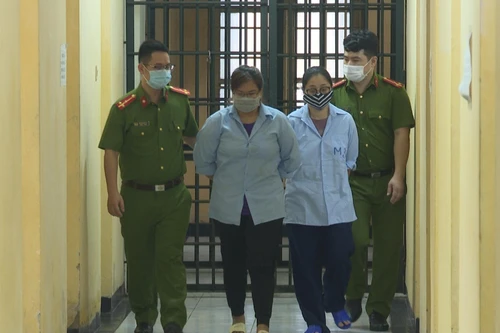 Môi giới mang thai hộ, hai người phụ nữ kiếm hàng trăm triệu đồng!