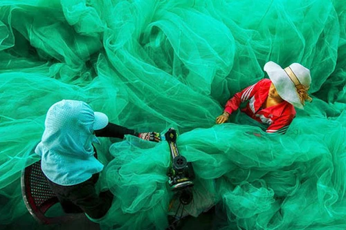 Bức ảnh ngư dân Việt Nam đoạt giải Nhất quốc tế