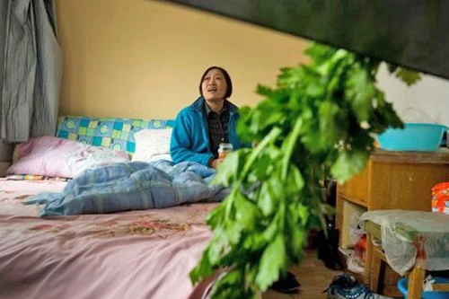 Nhan nhản “khách sạn ung thư” ở Trung Quốc