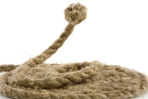 Nghịch tử giết cha vì không cho tiền mua rượu