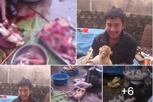 Điều tra vụ thanh niên khoe ảnh hàng loạt con khỉ bị giết lên facebook