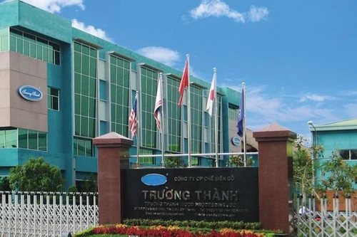 Lỗ lũy kế gần 98% vốn điều lệ, cổ phiếu Gỗ Trường Thành đứng trước nguy cơ hủy niêm yết