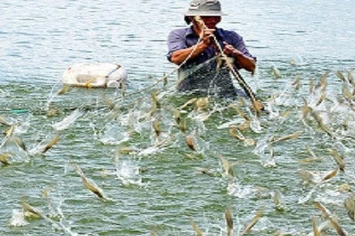 Mở rộng nhiều địa phương được hỗ trợ bảo hiểm nông nghiệp