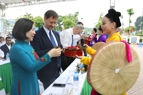 Các đại sứ, tổ chức quốc tế tại Việt Nam “Trồng cây hữu nghị” tại quận Tây Hồ