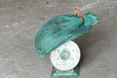 Nam thanh niên vận chuyển động vật hoang dã