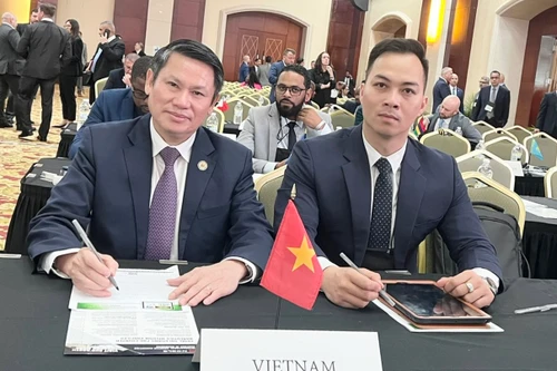 Hợp tác đấu tranh triệt phá các mạng lưới tội phạm ma túy có tổ chức xuyên quốc gia