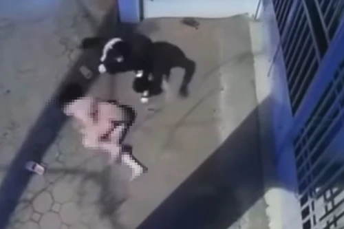 Đối tượng sát hại bạn gái cũ ở phố Vương Thừa Vũ đã đầu thú