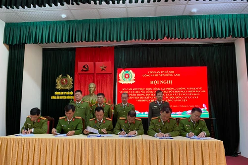 Huy động lực lượng triển khai đợt cao điểm tấn công, trấn áp tội phạm