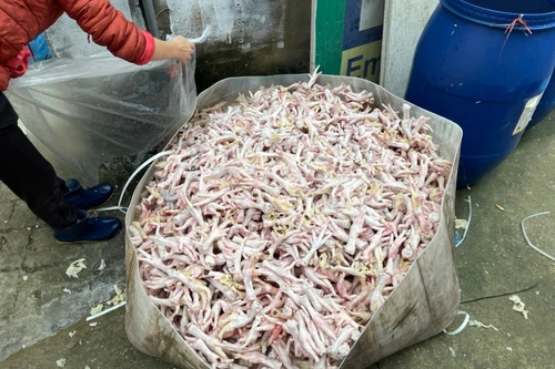 Xử phạt cơ sở kinh doanh chân gà bẩn