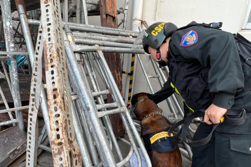 Lần đầu tiên đưa chó nghiệp vụ tham gia diễn tập tình huống phòng chống cháy, nổ, cứu nạn, cứu hộ 