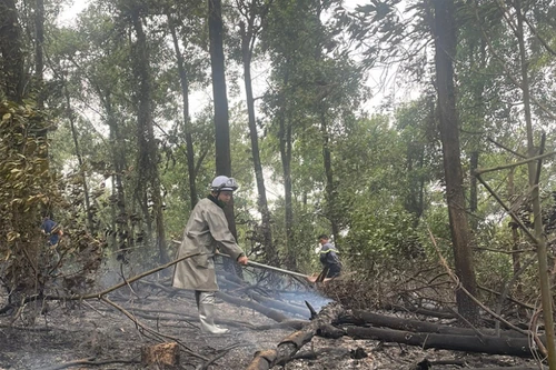 Kịp thời xử lý vụ cháy rừng tại huyện Ba Vì