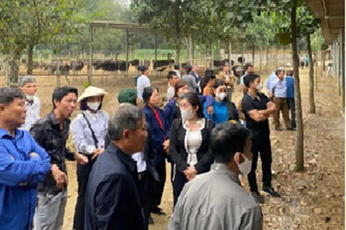 Cảnh báo 'Tour du lịch miễm phí 0 đồng' có dấu hiệu lừa đảo