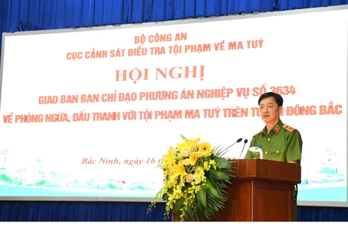 Từ nhiều phương án nghiệp vụ, đã bắt hơn 9.000 đối tượng phạm tội ma túy
