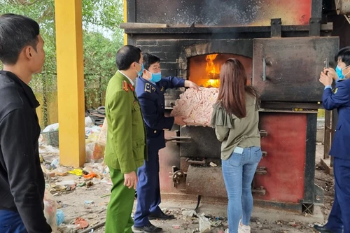 Xử phạt 42 triệu đồng và tiêu hủy 2 tấn chân gà đông lạnh