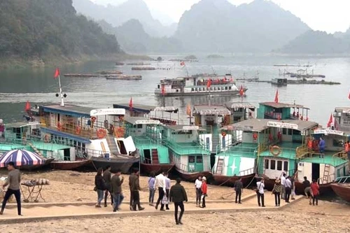 Khởi tố một Giám đốc về tội “Trốn thuế”