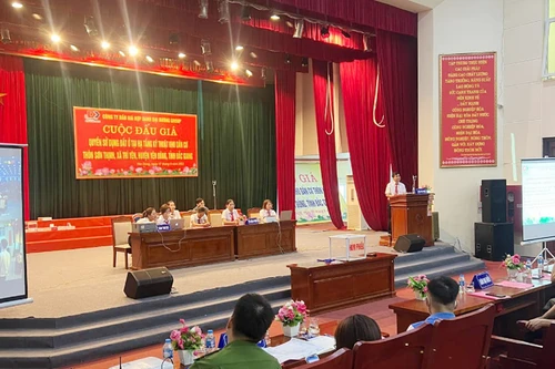 Giải quyết những kiến nghị, phản ánh trong thực hiện đấu giá đất 