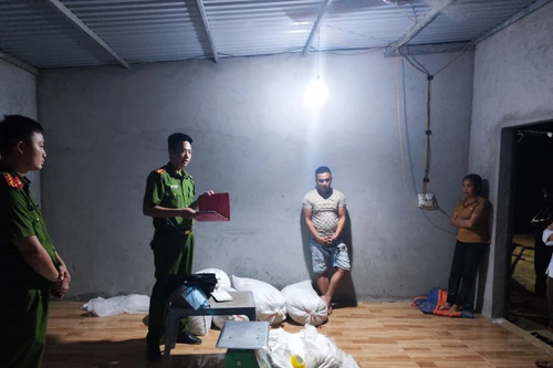 Nhóm lái xe 'ăn' hàng chục tấn cám trong quá trình vận chuyển