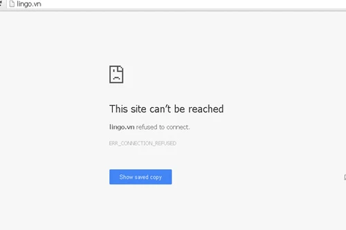 Website thương mại điện tử Lingo.vn đóng cửa?