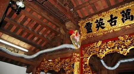 Thực hư chuyện hóa điên vì mạo phạm thần rắn