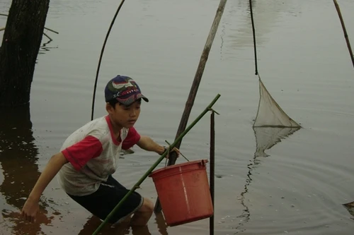 Trẻ em vùng lũ vất vả mưu sinh