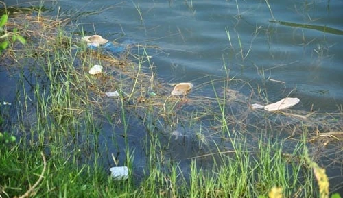 Dắt nhau ra bờ ao, 2 cháu bé chết đuối thương tâm