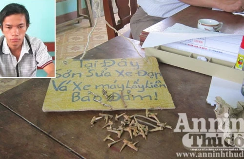 "Đinh tặc" sa lưới