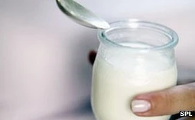 Mẹ ăn sữa chua ít béo, con dễ bị hen