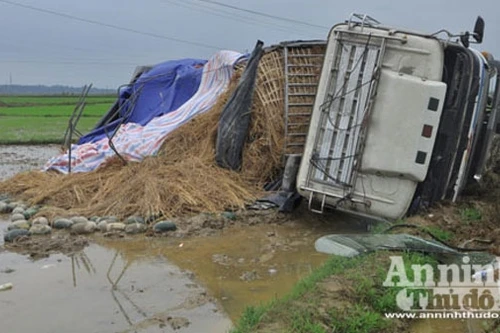 Xe tải chở dưa hấu “cắm đầu” xuống ruộng