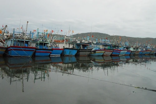 Bình Định khẩn trương ứng phó với bão số 8