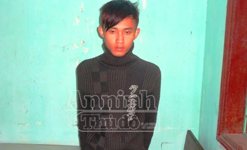 Vụ cụ bà 81 tuổi bị sát hại dã man: Hung thủ là đứa cháu ngoại