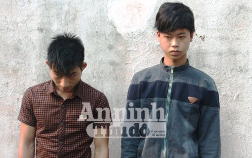Khởi tố hai 9X "hành nghề" trộm chó