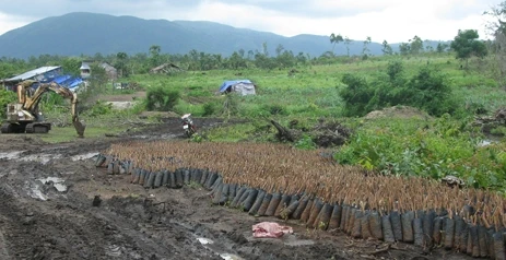 Chi hàng chục tỷ đồng để bảo vệ, rừng vẫn bị phá