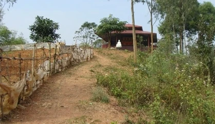 Ám ảnh chuyện chết chóc, ly tán