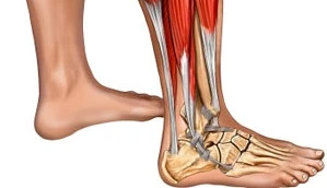 Vitamin D giảm đau cơ xương ở bệnh nhân ung thư vú