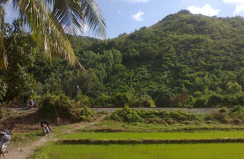 Xác định được nạn nhân vụ "Đào thần dược được... xác chết"