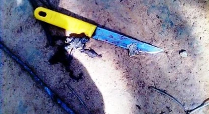 Dùng dao đâm chết người yêu khi đang tâm sự đêm khuya