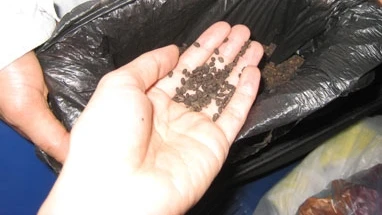 Lừa đảo, hô biến hạt đỗ thành thuốc chữa đau đầu