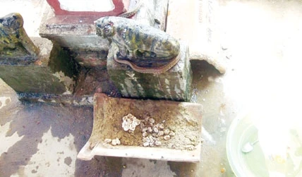 Thực hư “rắn thần” không lưỡi, uống nước ngọt ở Hà Tĩnh