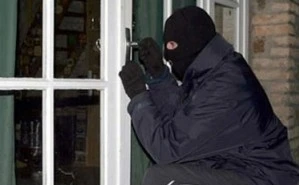 “Đạo chích” trộm yến huyết đỏ tươi