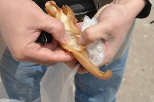 Hãi hùng tai lợn giả của Trung Quốc chứa chất gây ung thư