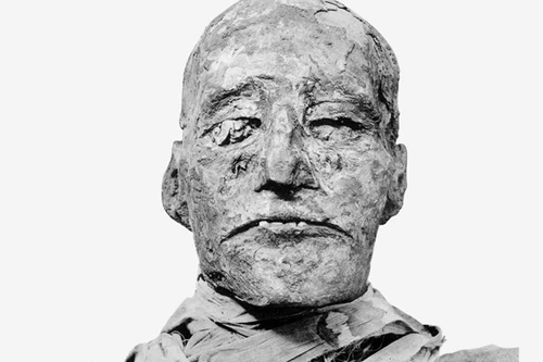 Pharaoh cổ đại có thể chết do bị cắt cổ