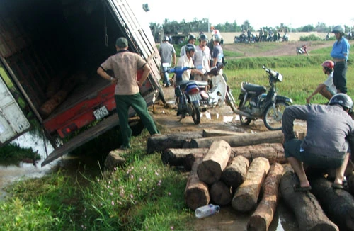 Vi phạm lâm luật, 10 đối tượng bị phạt gần 410 triệu đồng