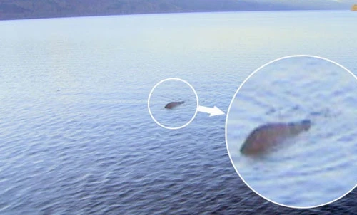 Quái vật hồ Lochness thật sự tồn tại?!
